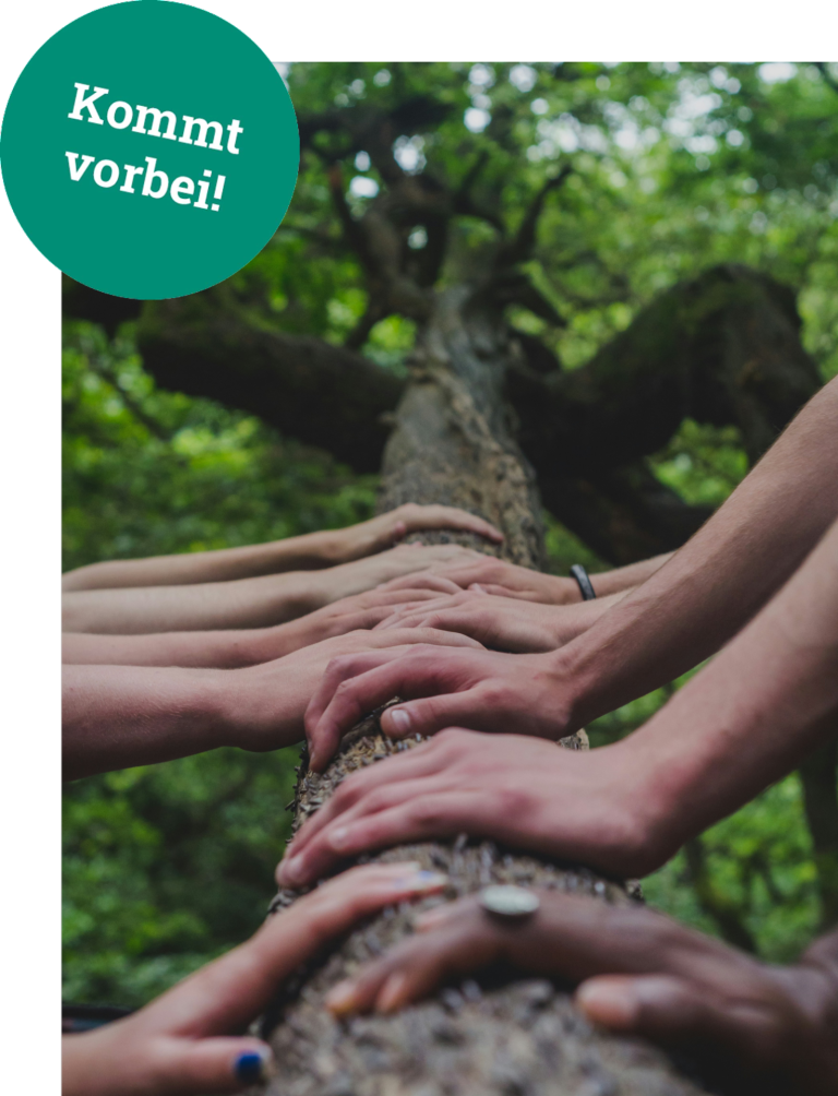 Foto von <a href="https://unsplash.com/de/@shanerounce?utm_content=creditCopyText&utm_medium=referral&utm_source=unsplash">Shane Rounce</a>
